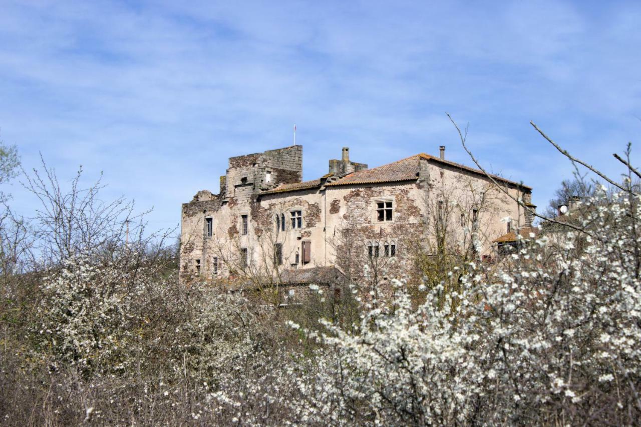 Chateau De Latour Sur Sorgue Marnhagues-et-Latour 외부 사진